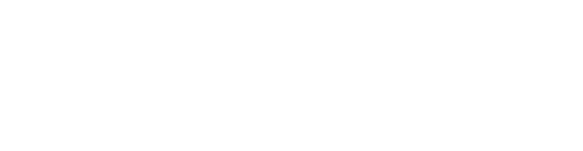 AAPA Conference 2024 Logo