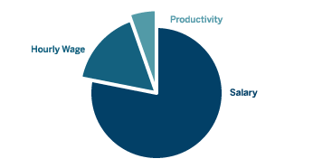 Pie chart of salary data