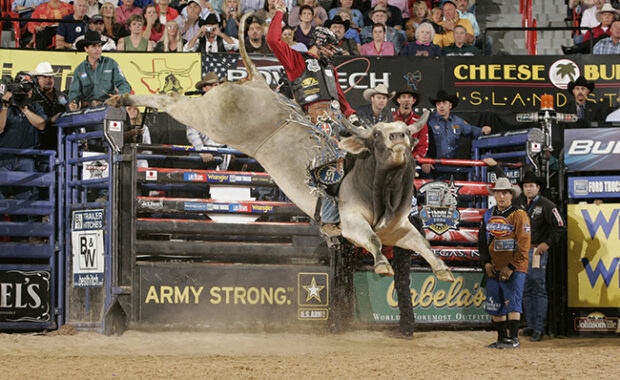 Wiley Petersen riding a bull