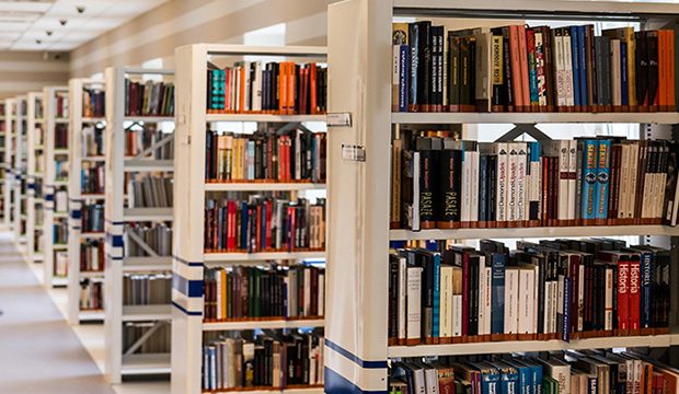 Row of books in shelf