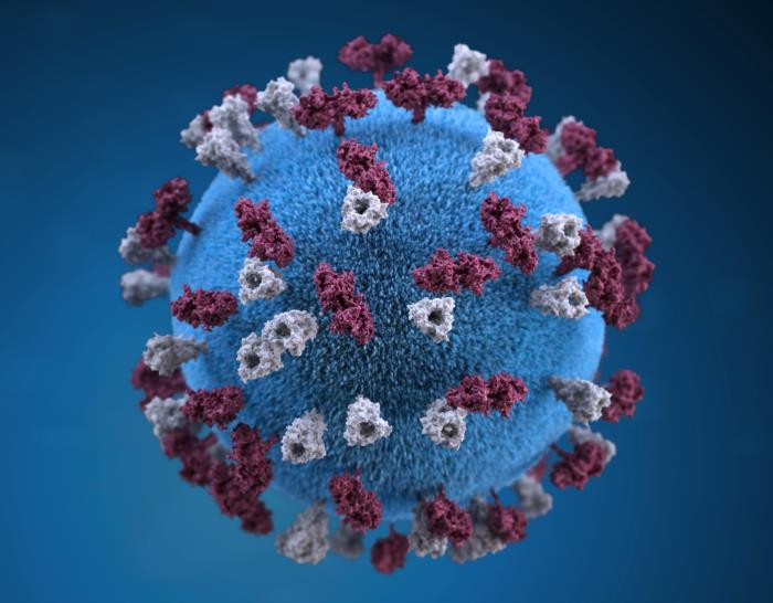 illustration of a 3D graphical representation of a spherical-shaped, measles virus particle that is studded with glycoprotein tubercles