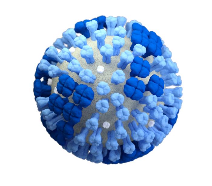 3D generated rendering of a whole influenza (flu) virus with a light grey surface membrane, set against a white background