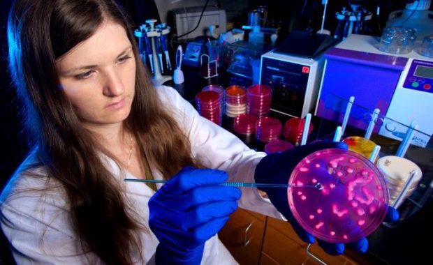 laboratorian points out bacterial colonies, which grew atop the medium contained in the Petri dish she held in her left hand