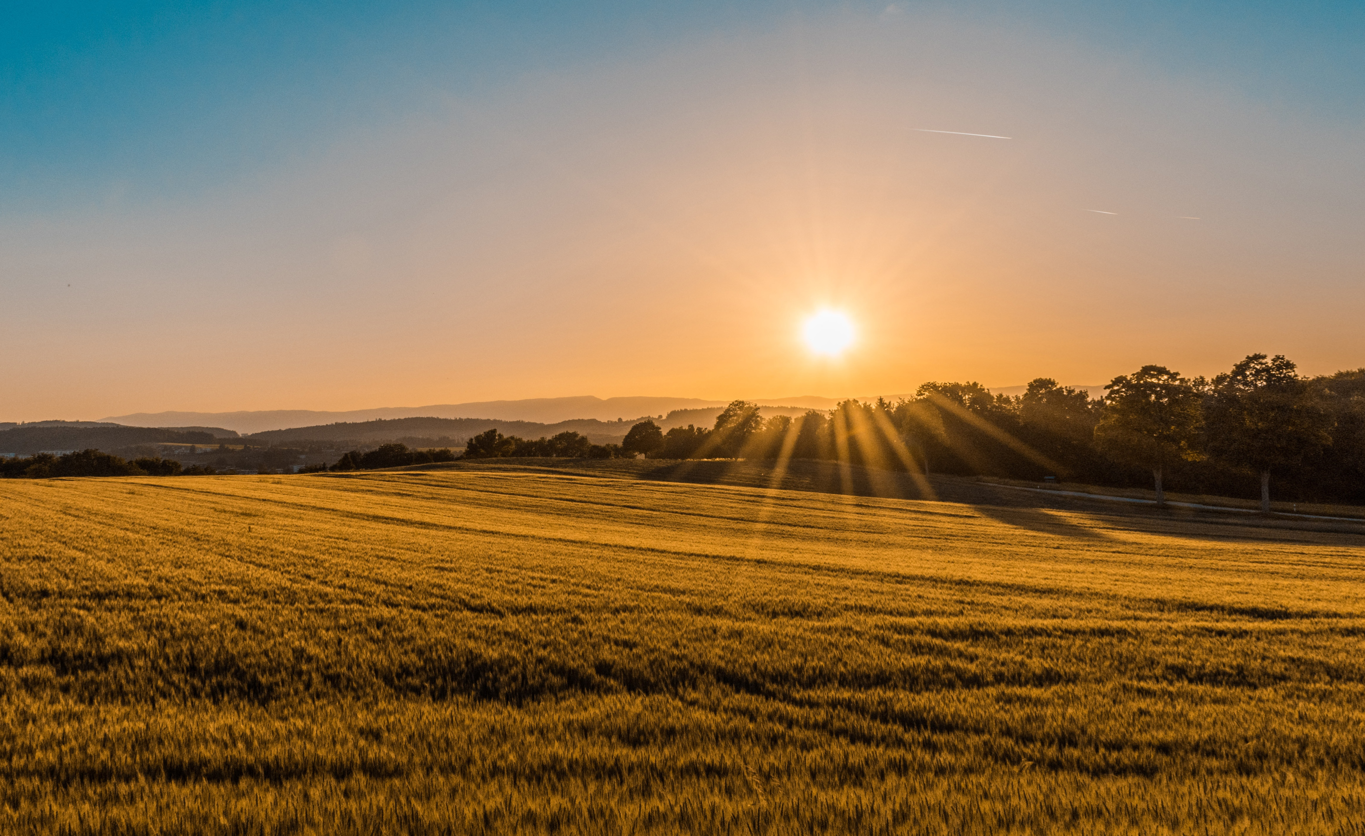 Rural field