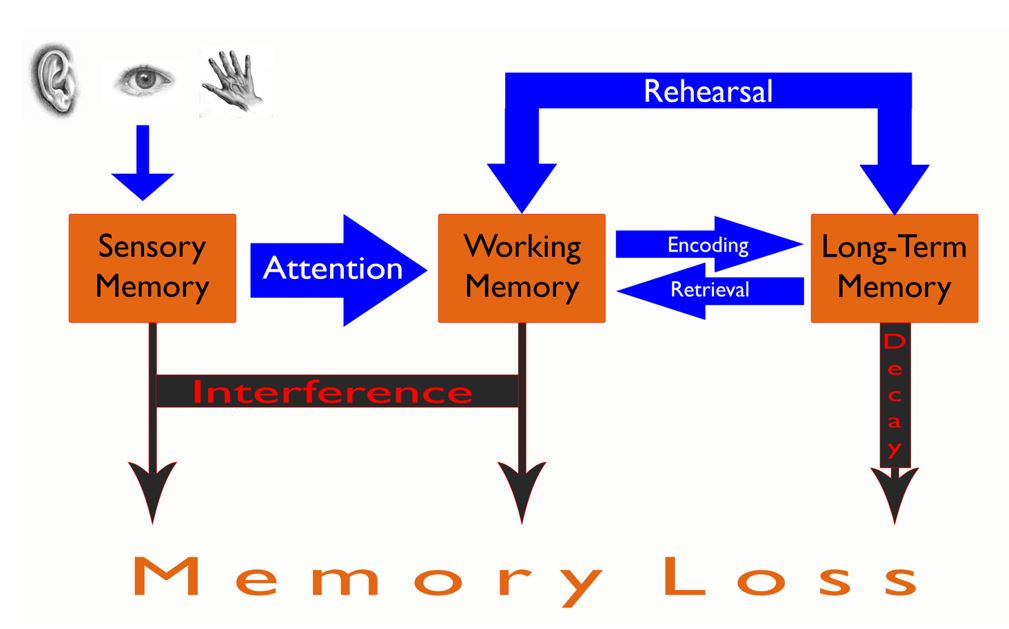 Image depicting memory loss