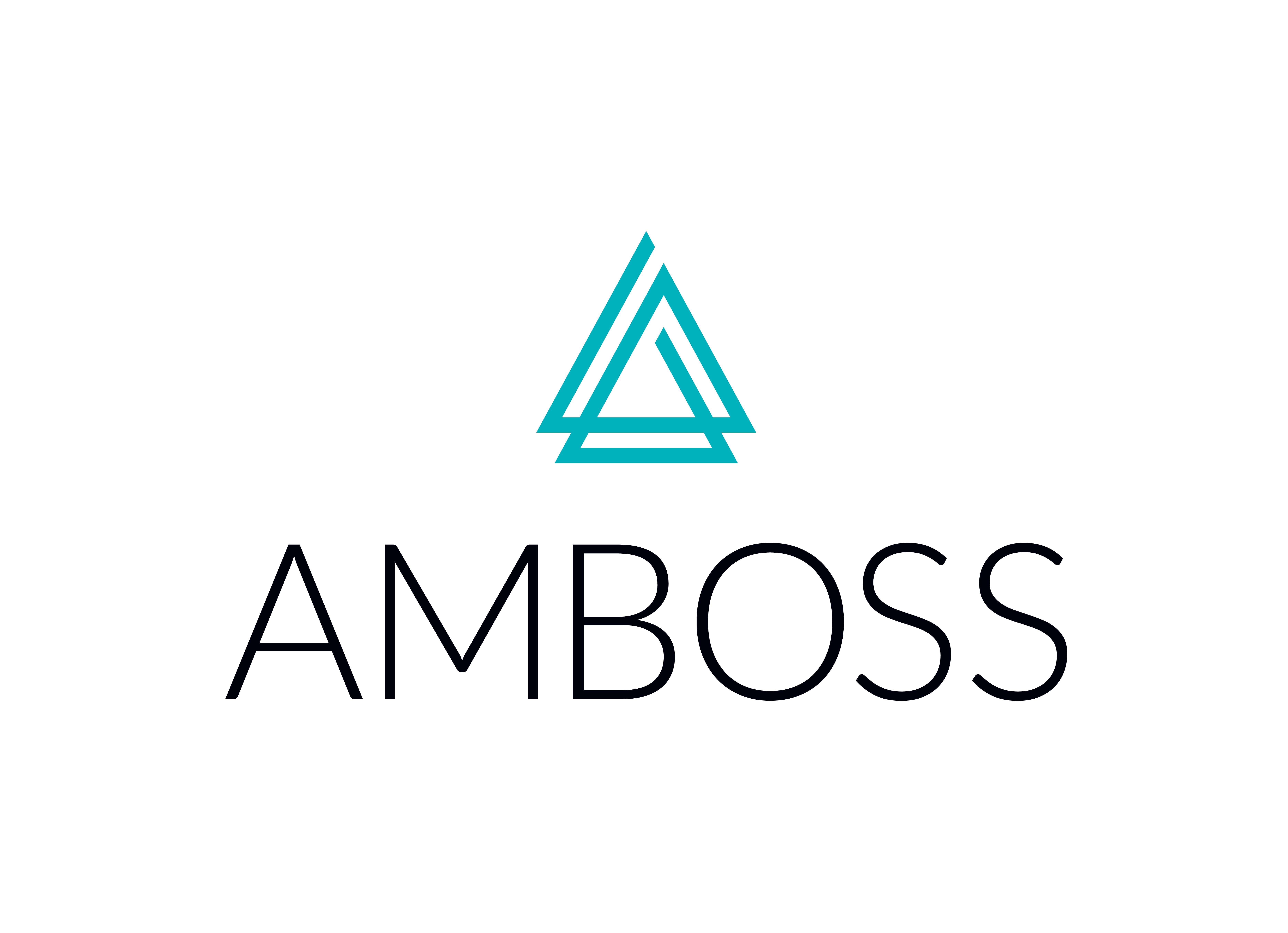 AMBOSS SE