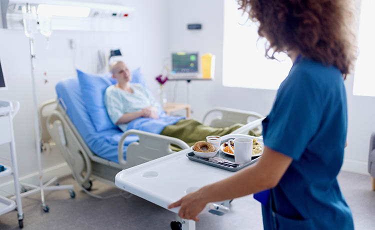 Guidelines for the Provision of Nutrition Support Therapy in the Adult ...