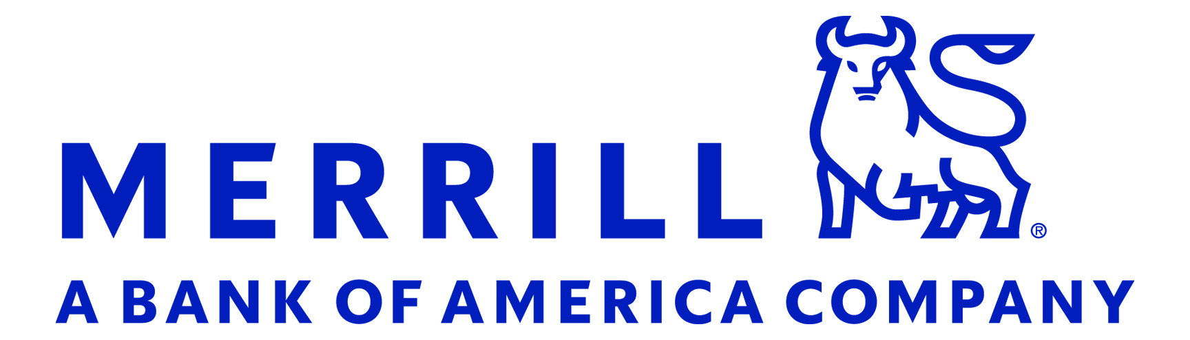 The Clark Group: Merrill Lynch 
